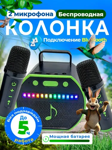 Портативная колонка с 2 микрофона караоке