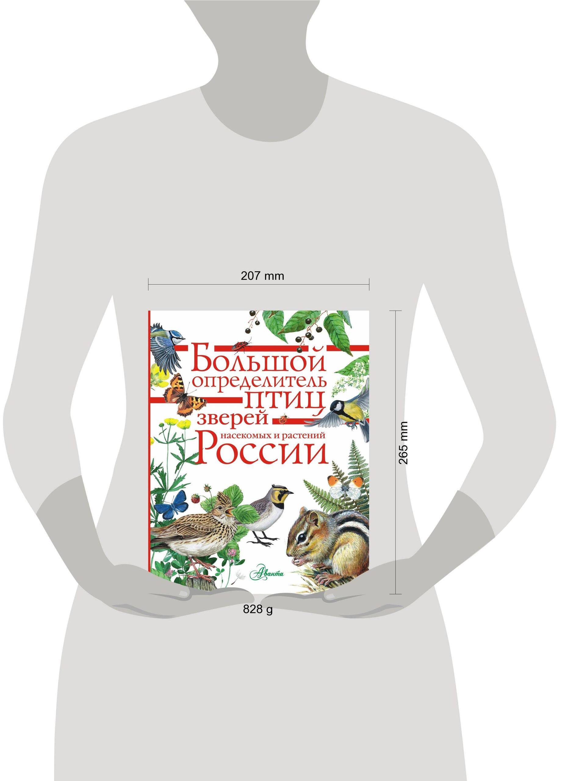 Большой определитель птиц, зверей, насекомых и растений России | Large Guide to Birds, Animals, Insects, and Plants of Russia - Ozon image 1