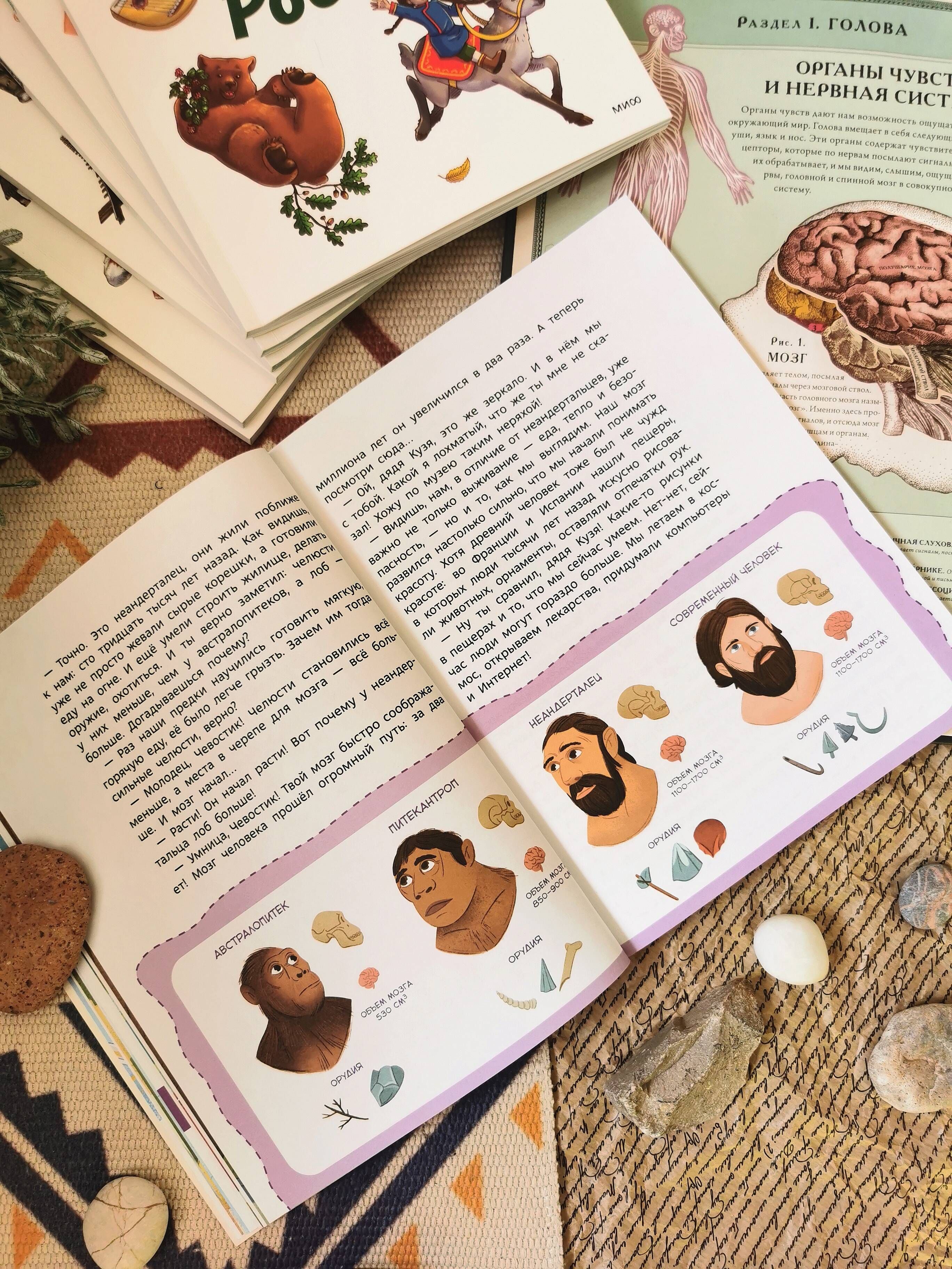 Как устроен мозг. Детская энциклопедия (Чевостик) | How the Brain Works: A Children's Encyclopedia (Chevastik) - Ozon image 5
