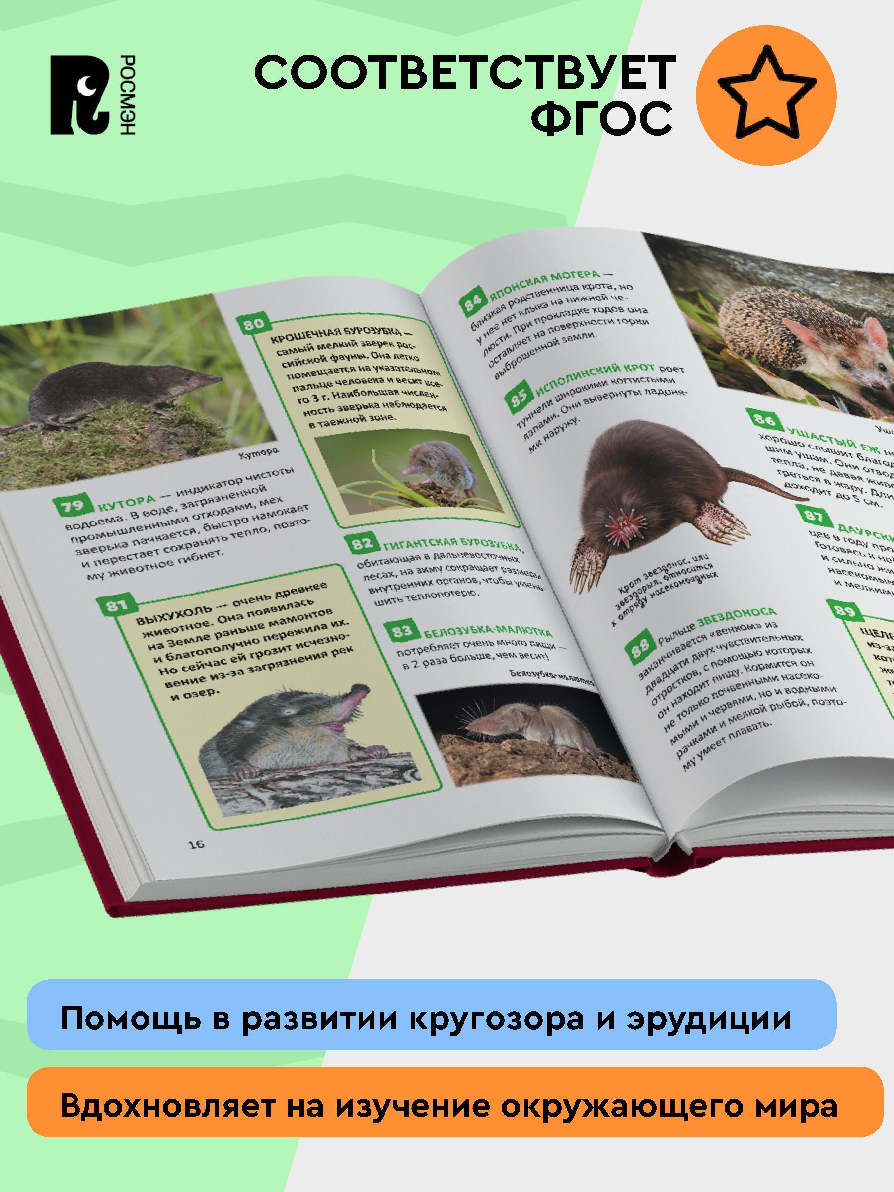 Красная книга. Энциклопедия российского школьника | Red Data Book. Encyclopedia of the Russian Schoolchild - Ozon image 6