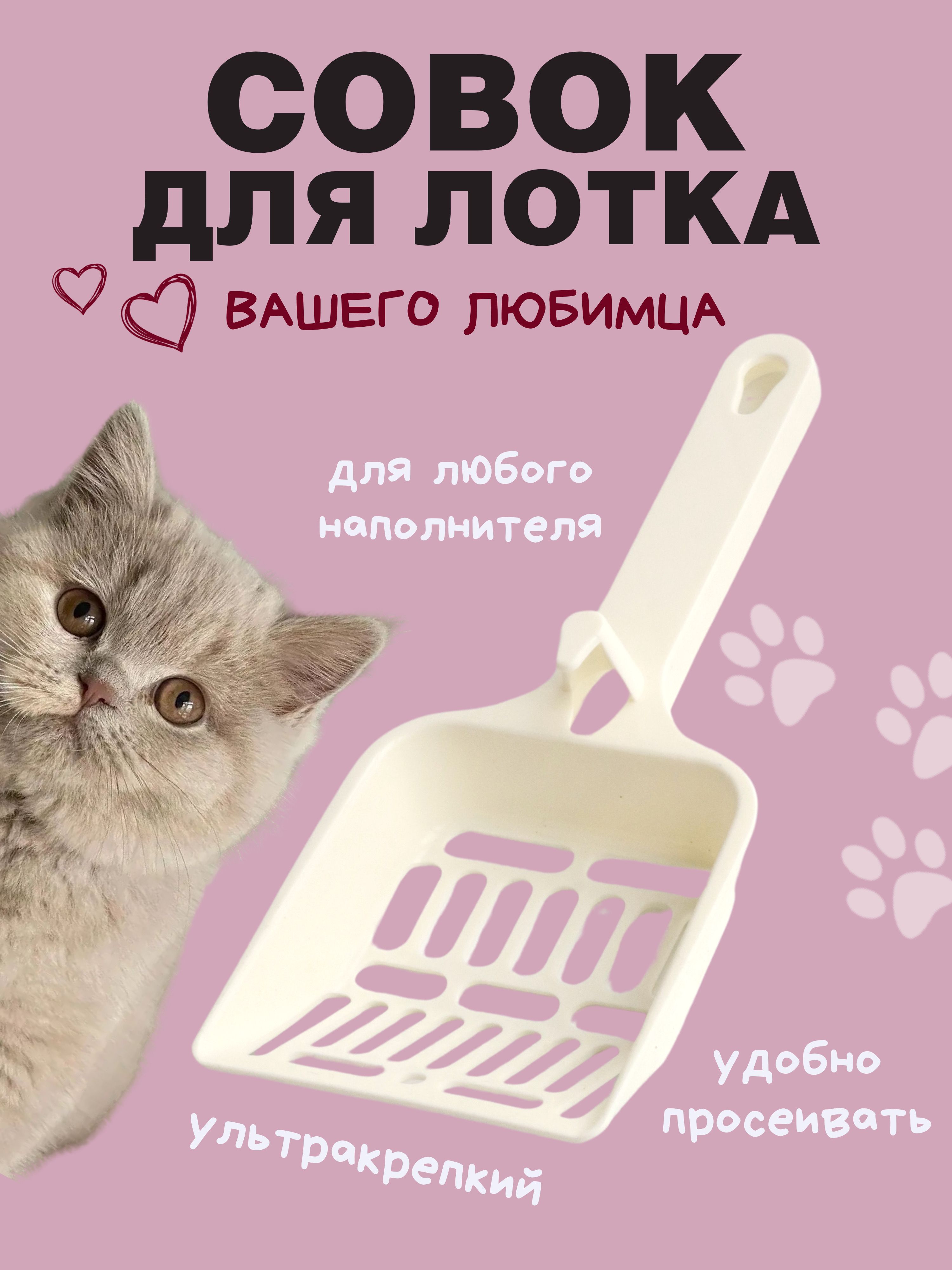 совокдлякошачьеготуалета,лопаткадлялотка