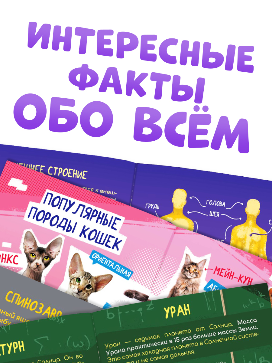 Книги для детей, Буква Ленд МиМиМишки "Изучаем мир", набор 6 шт. по 20 стр., энциклопедия для детей | Reference Book - Ozon image 3