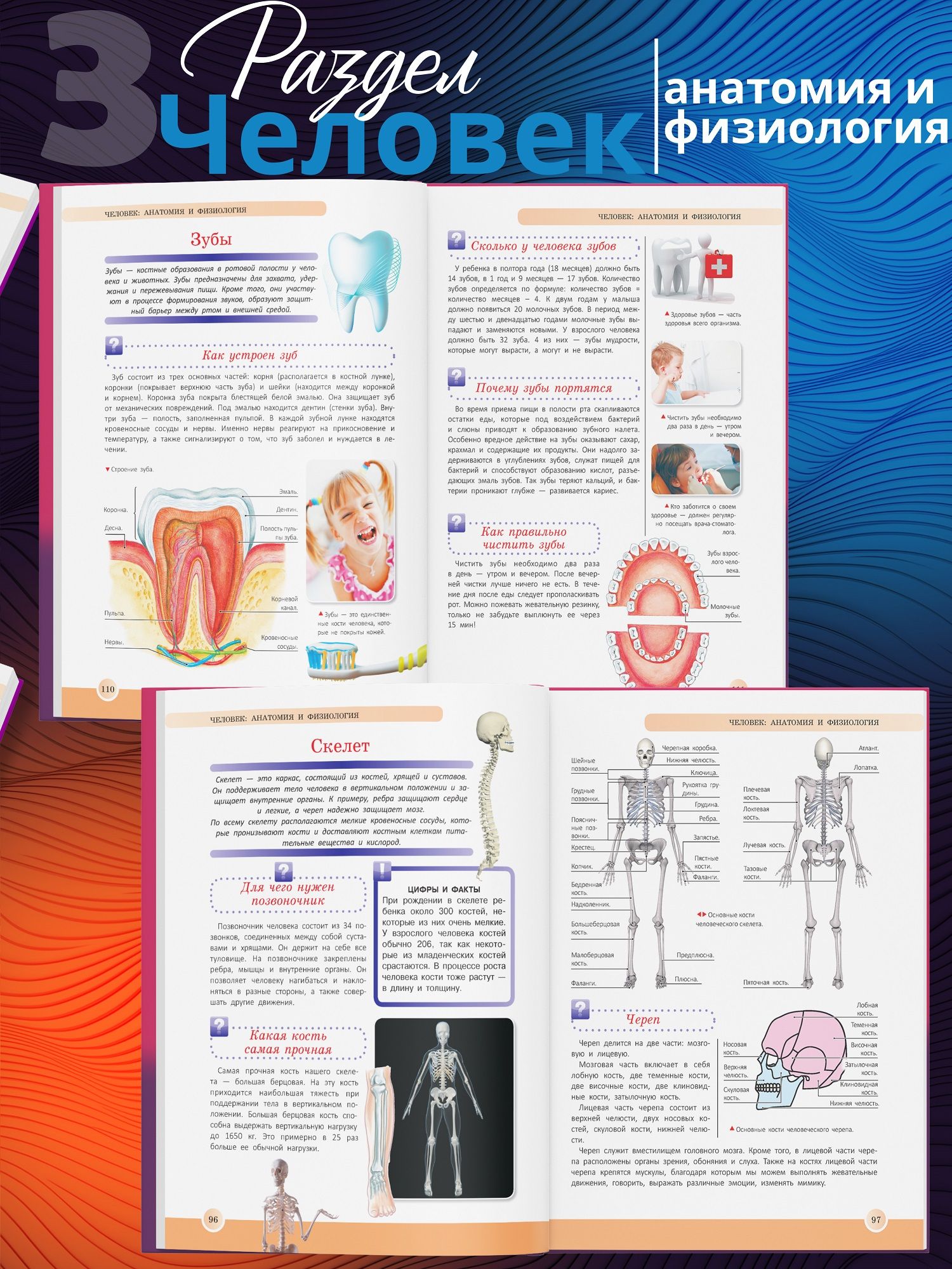 Книга для детей в подарок Новейшая энциклопедия школьника | The New Encyclopedia for Schoolchildren - Ozon image 7