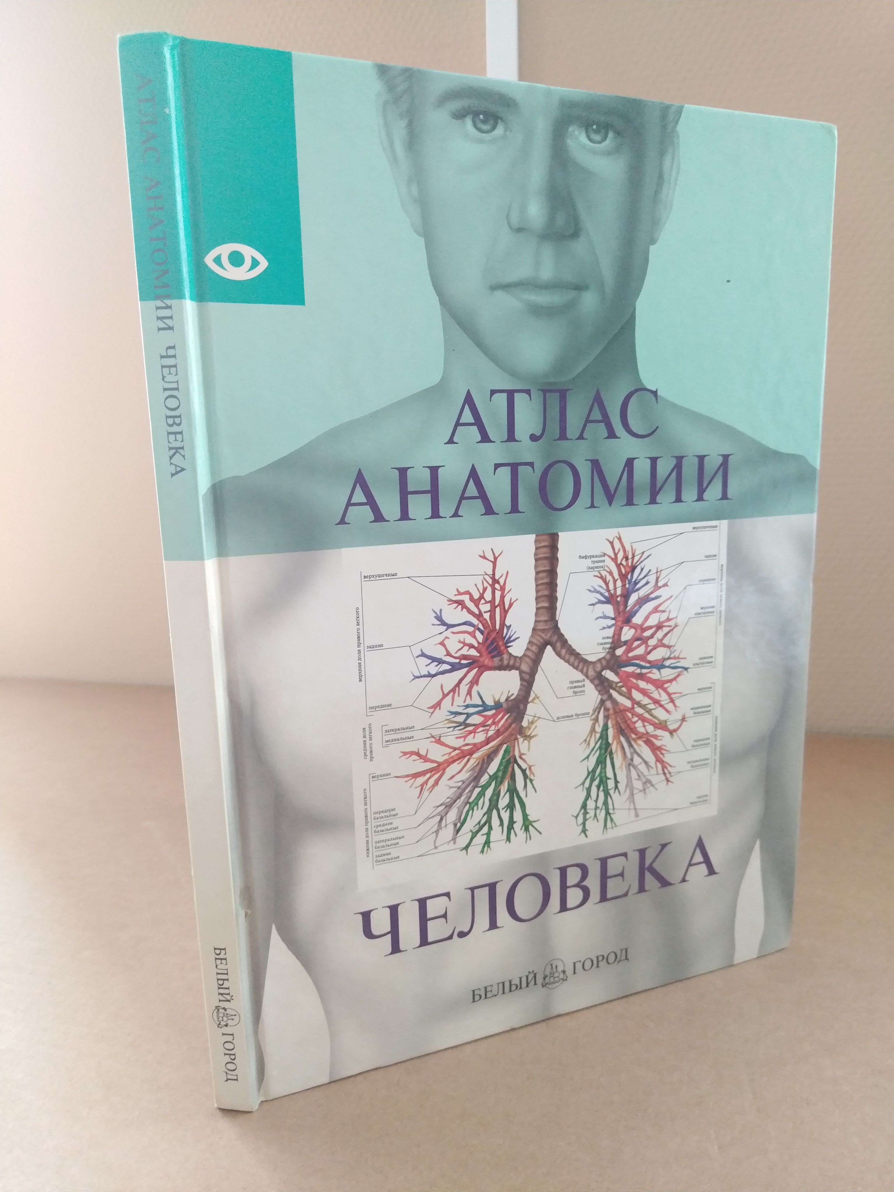 Настоящий "Атлас анатомии человека" показывает строение и функции...