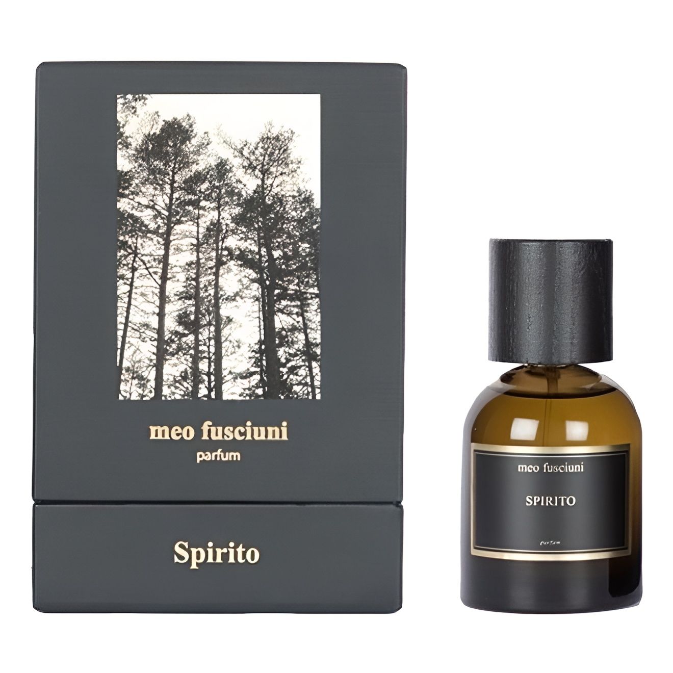 MEO FUSCIUNI SPIRITO PARFUM Парфюмерная вода унисекс 100 мл купить