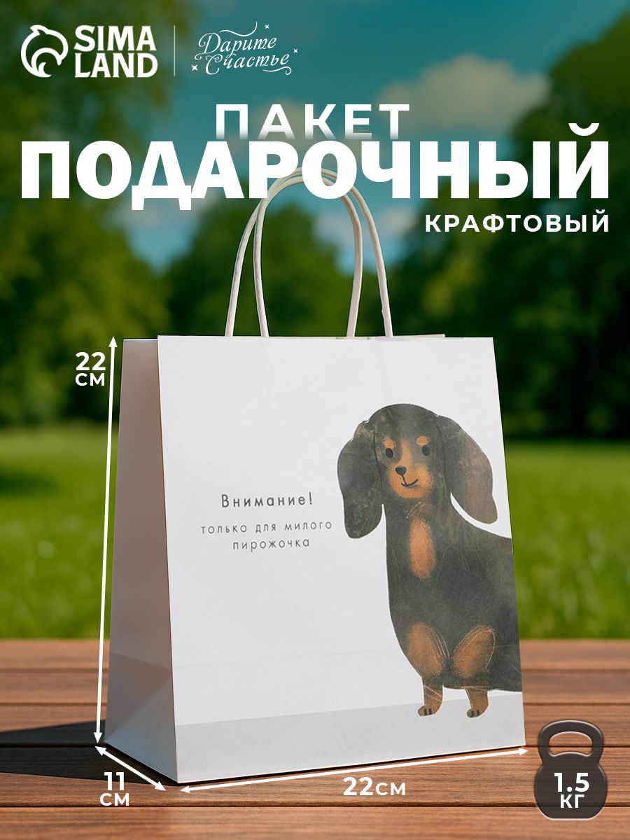 Пакет подарочный, 22 х 22 х 11 см