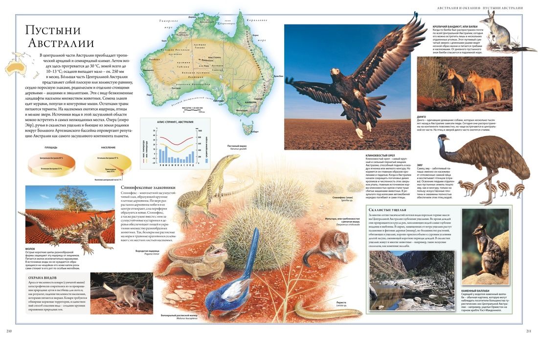 Животный мир. Иллюстрированный атлас | Animal World: Illustrated Atlas - Ozon image 6