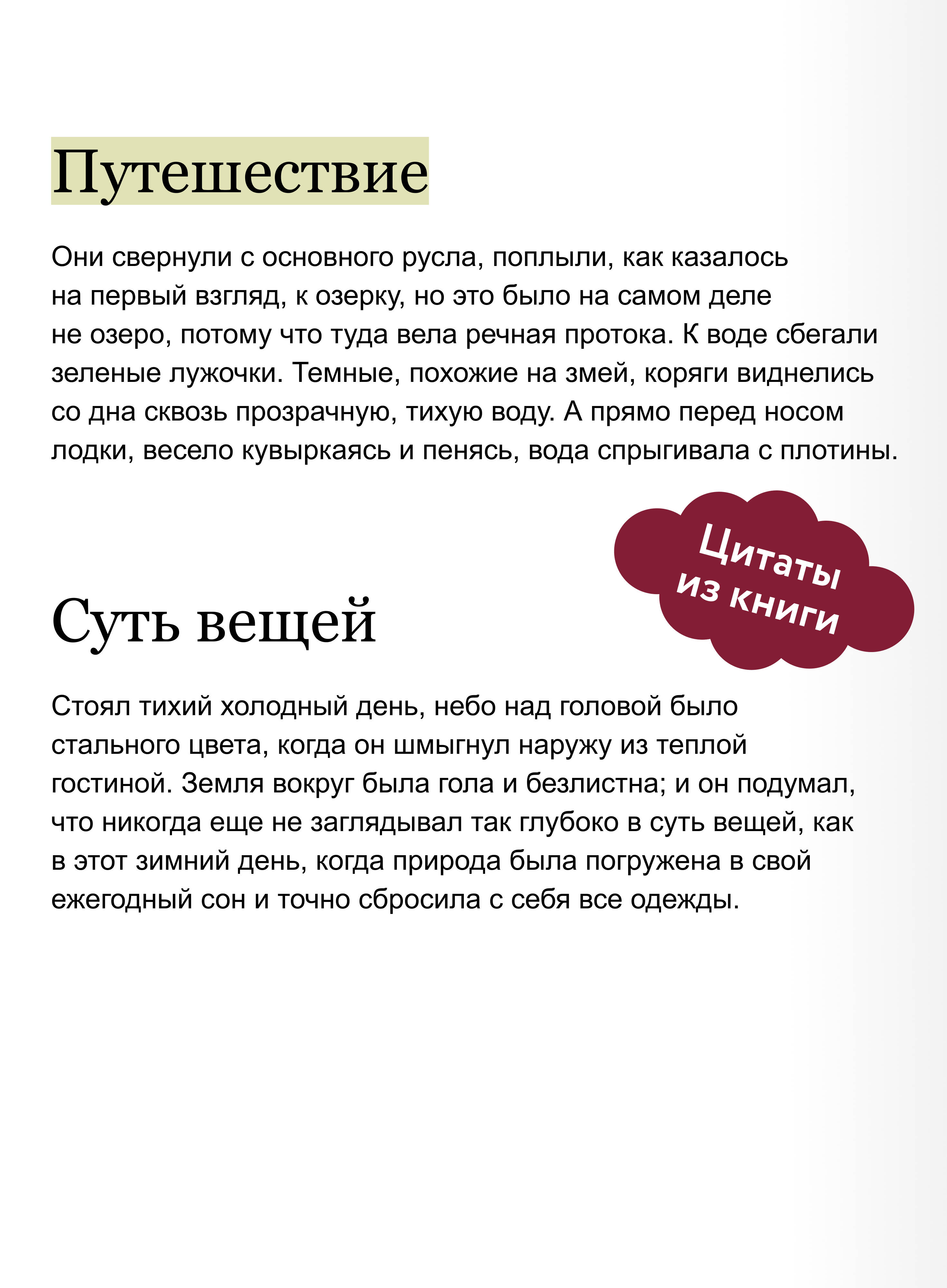 Ветер в ивах | The Wind in the Willows - Ozon image 3