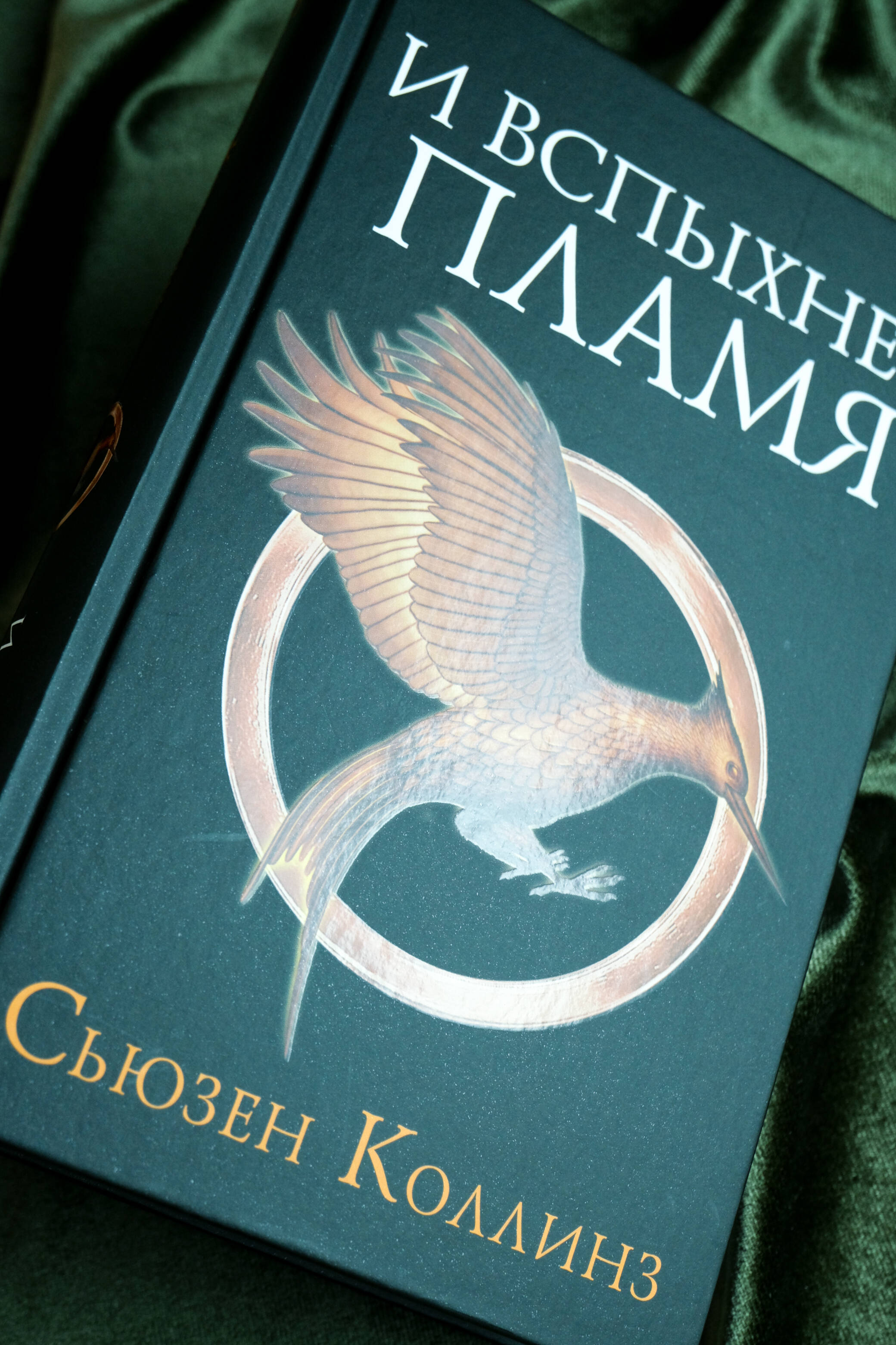 И вспыхнет пламя | The Ballad of Songbirds and Snakes - Ozon image 6