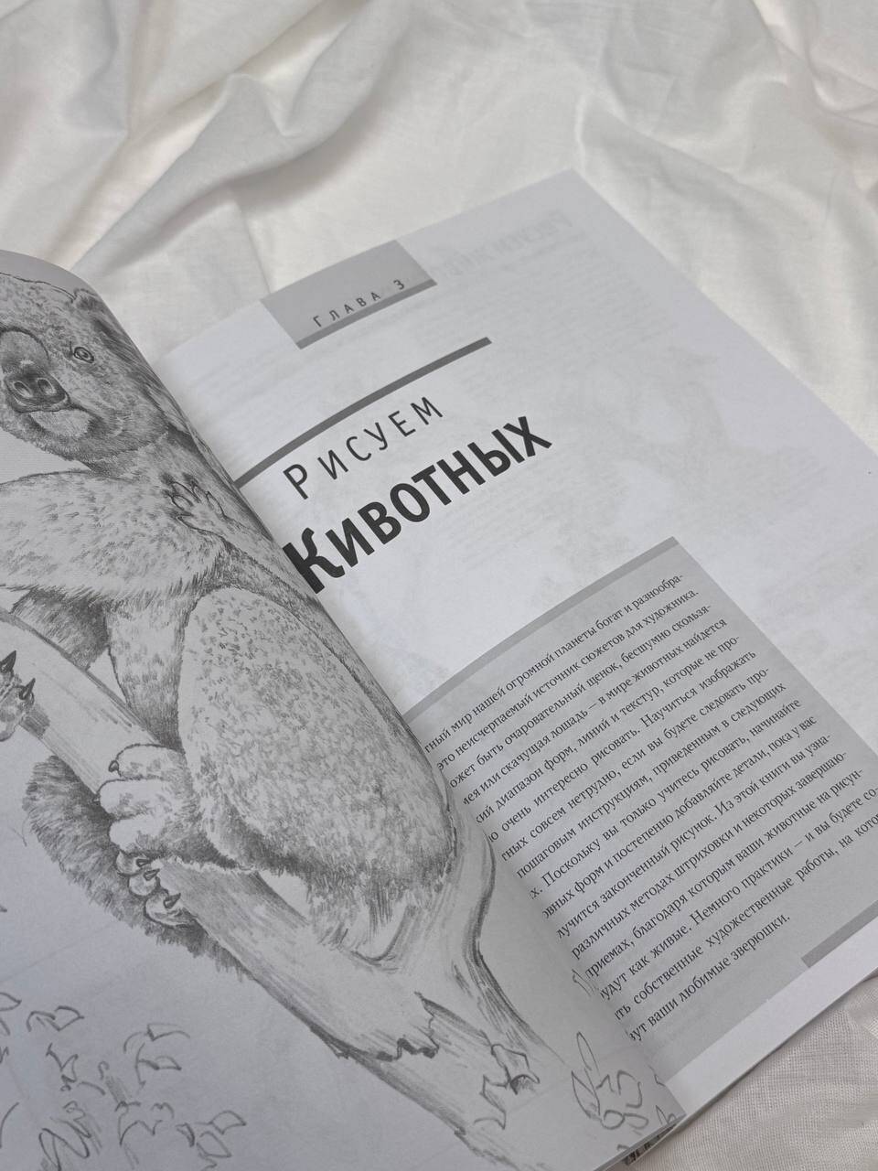 Основы рисования | Drawing Fundamentals - Ozon image 7