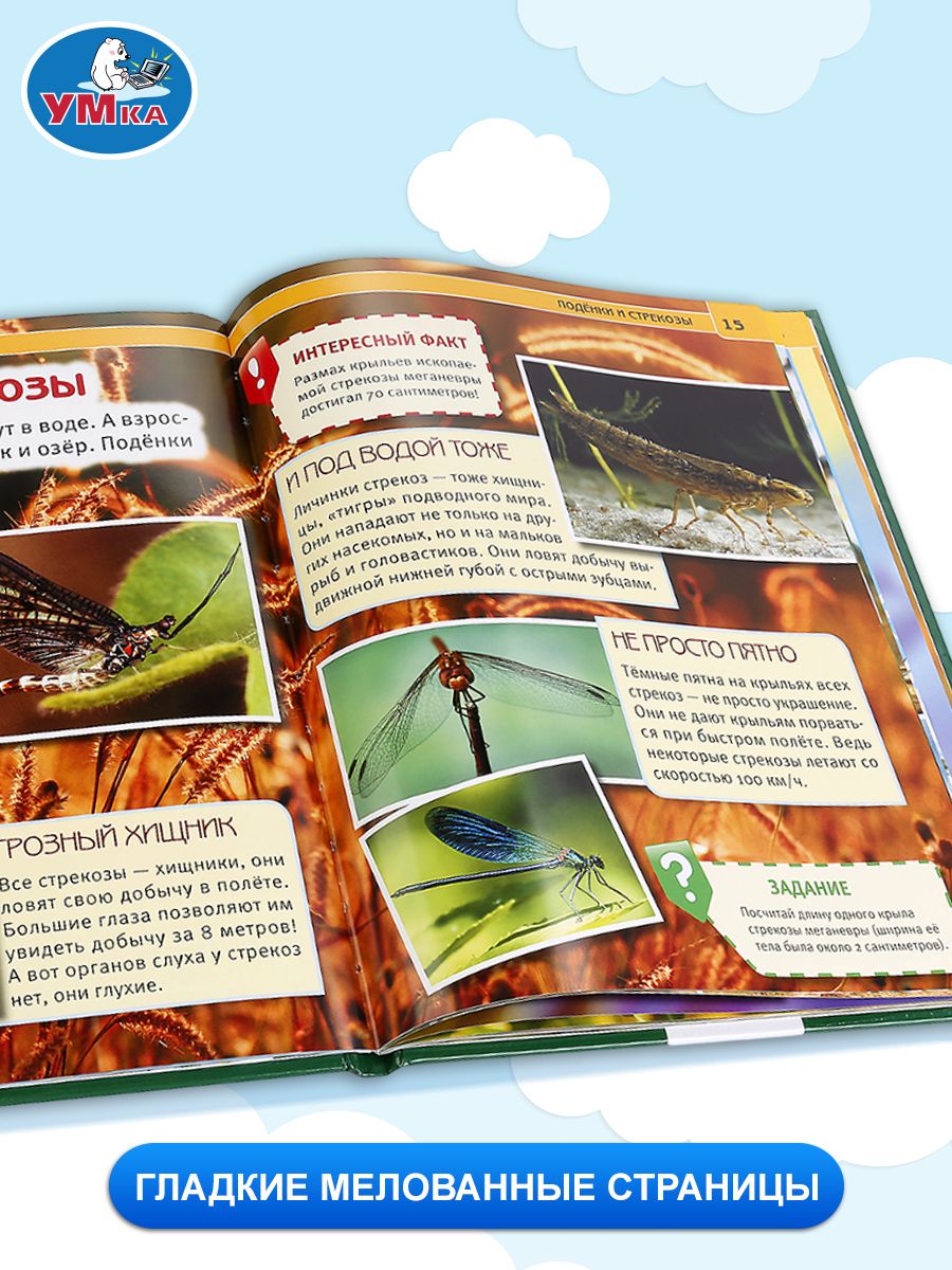 Насекомые | Insects - Ozon image 3