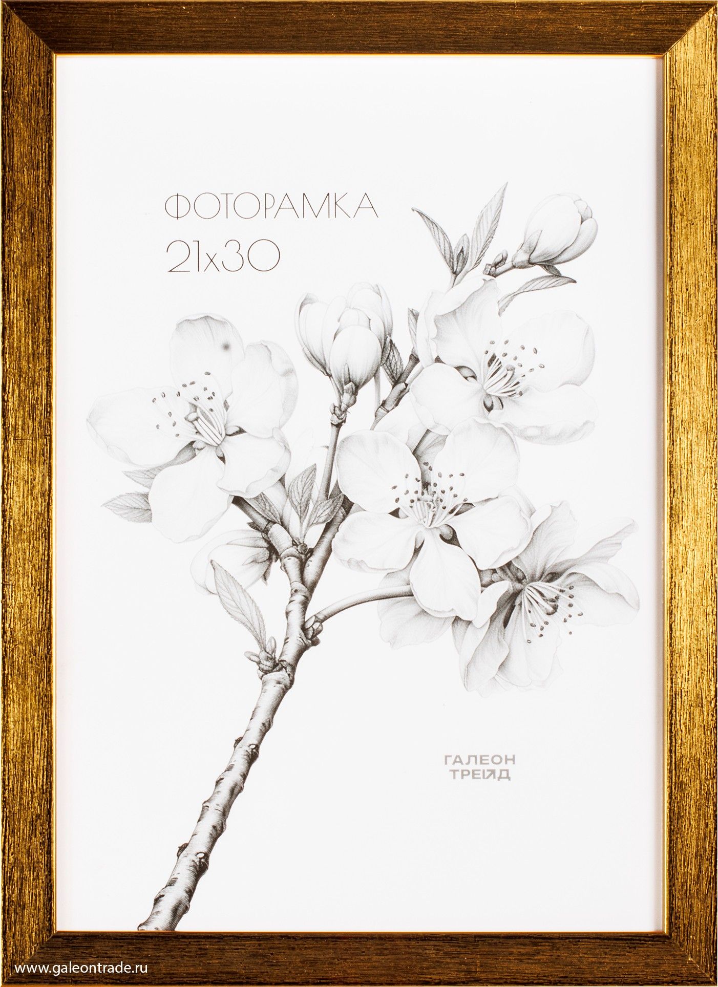 Фоторамка пластиковая 21 х 30 см, золотая