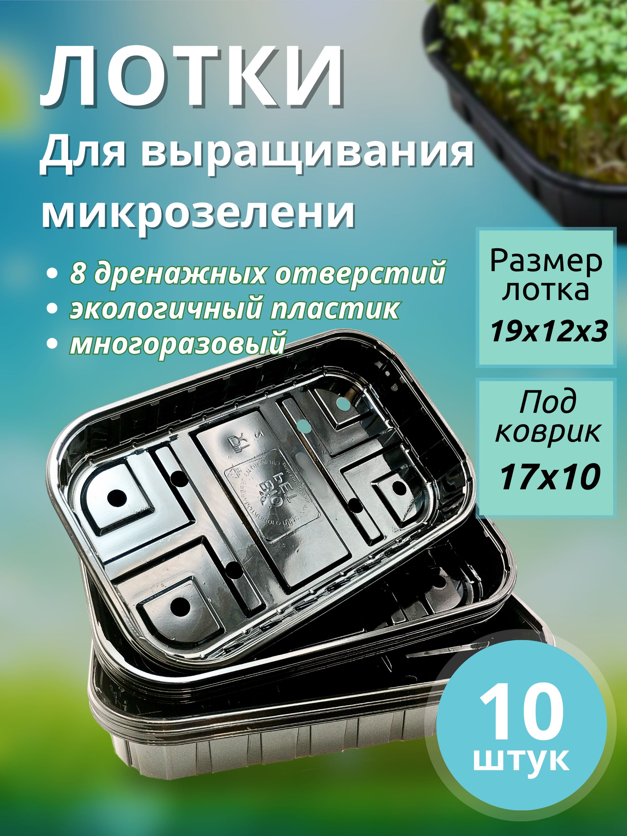 Лоткидлявыращиваниямикрозелени,контейнер,бокс,сперфорацией,размер19х12х2,5см,10шт