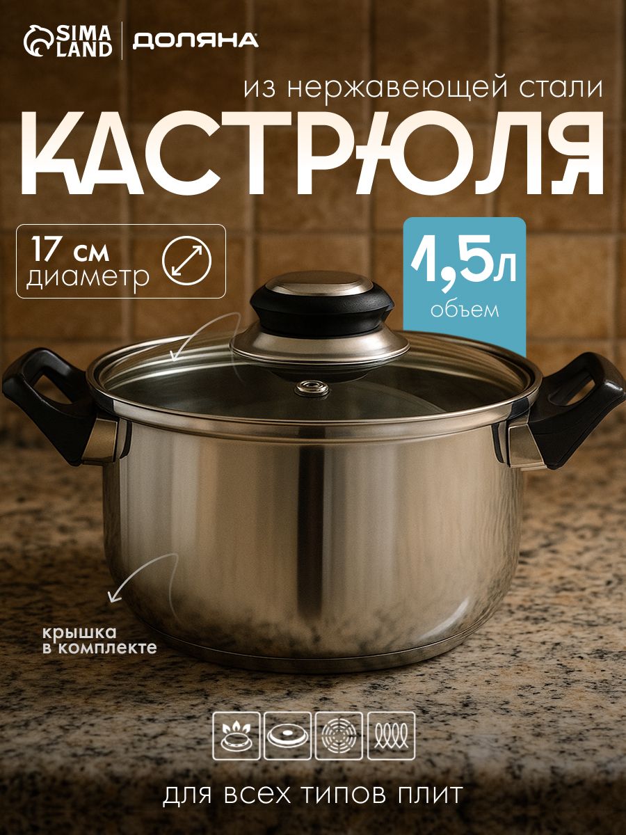 Кастрюля из нержавеющей стали, Доляна "Чёрная ночь", 1,5 л, диаметр 17 см, с крышкой, капсульное дно