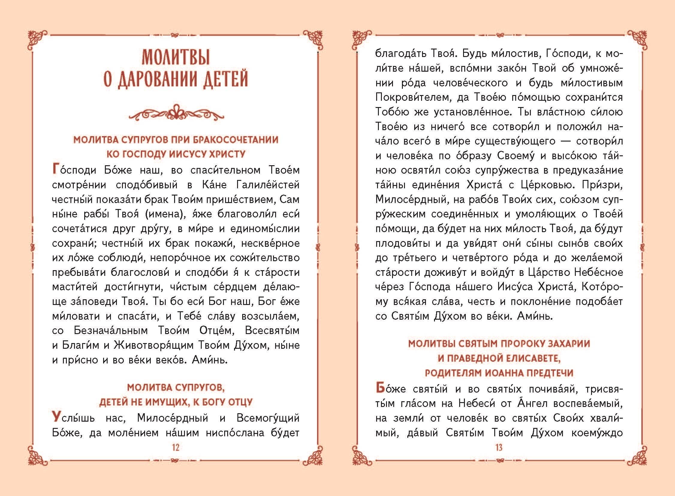 Молитвы о детях (с ил.) | Prayers for Children (Illustrated) - Ozon image 6