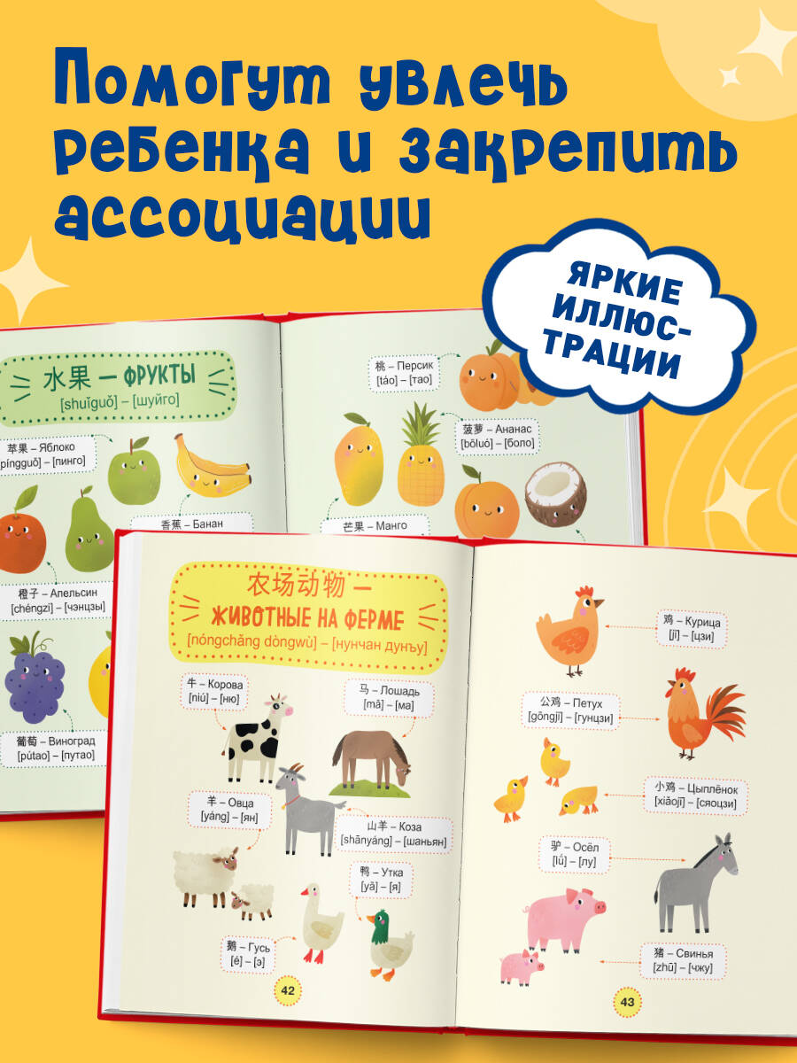 Мой первый год китайского. Словарик в картинках | My First Year of Chinese: Picture Dictionary - Ozon image 2