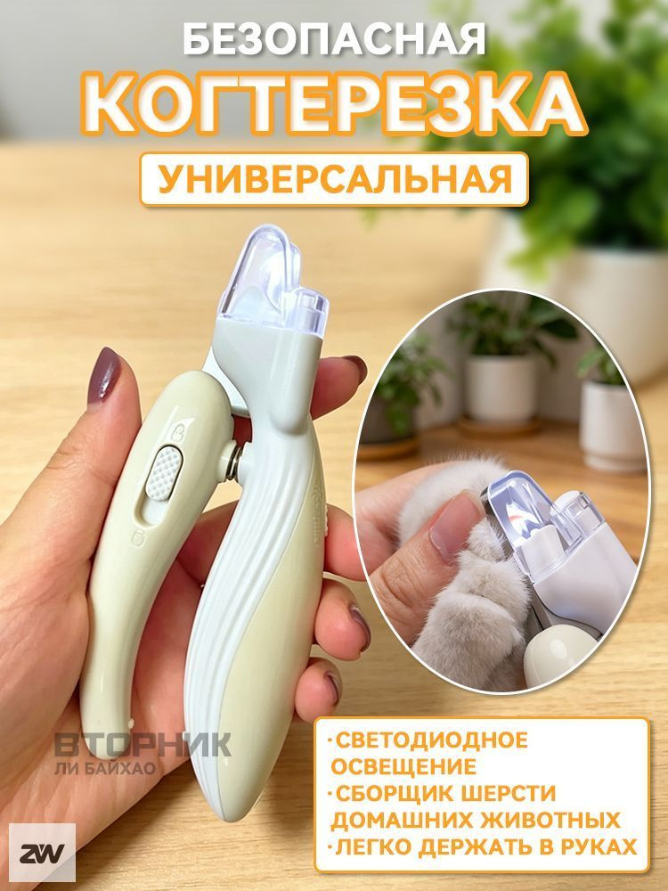 ozon-5138274828