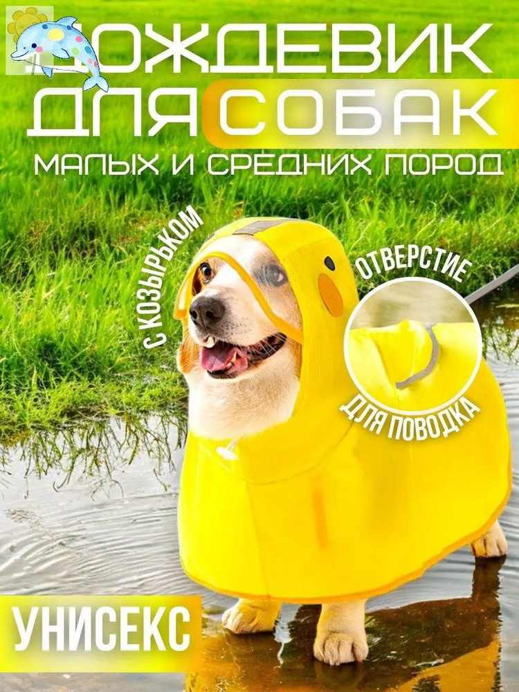 Одежда для животных #1
