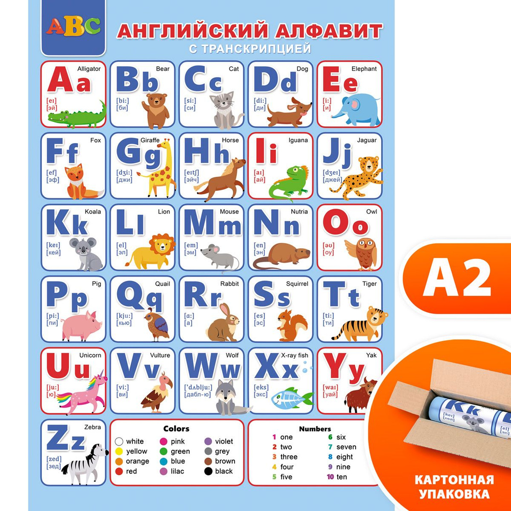 Плакат обучающий английский алфавит с транскрипцией - купить с доставкой по  выгодным ценам в интернет-магазине OZON (1069692120)