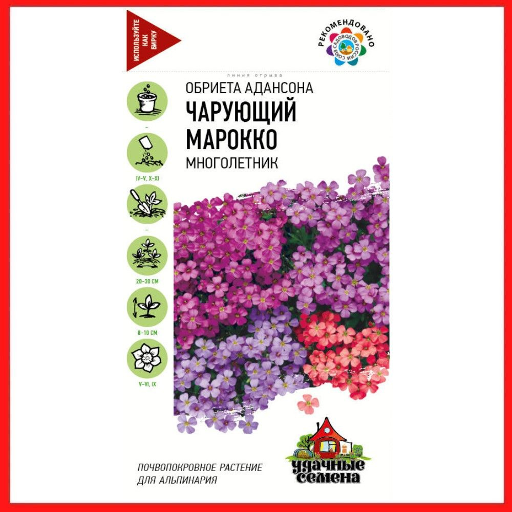 Семена Обриета Адансона "Чарующий Марокко" крупноцветковая 0,05 гр, многолетние цветы для дома и дачи, #1