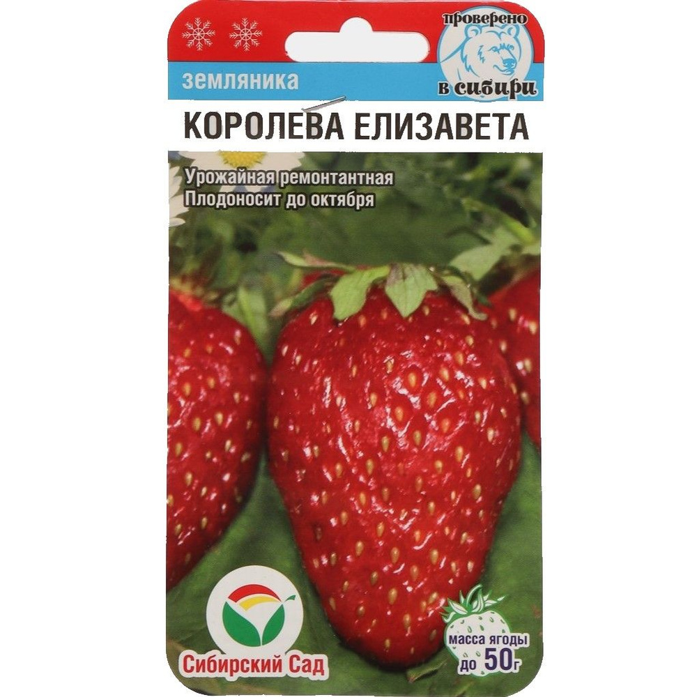 Земляника и клубника Сибирский сад Земляника Королева Елизавета ...