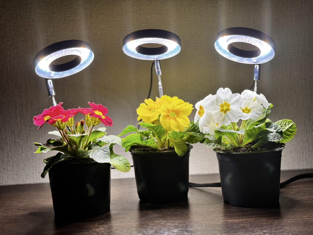 Светодиодная фитолампа полный спектр, 3 led лампы с таймером, лампа для ...