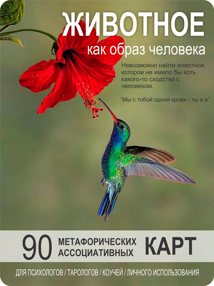 "ЖИВОТНЫЕ как образ человека" метафорические ассоциативные карты, 90 ...