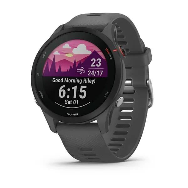 Garmin Умные часы Forerunner 255, Dark Grey #1