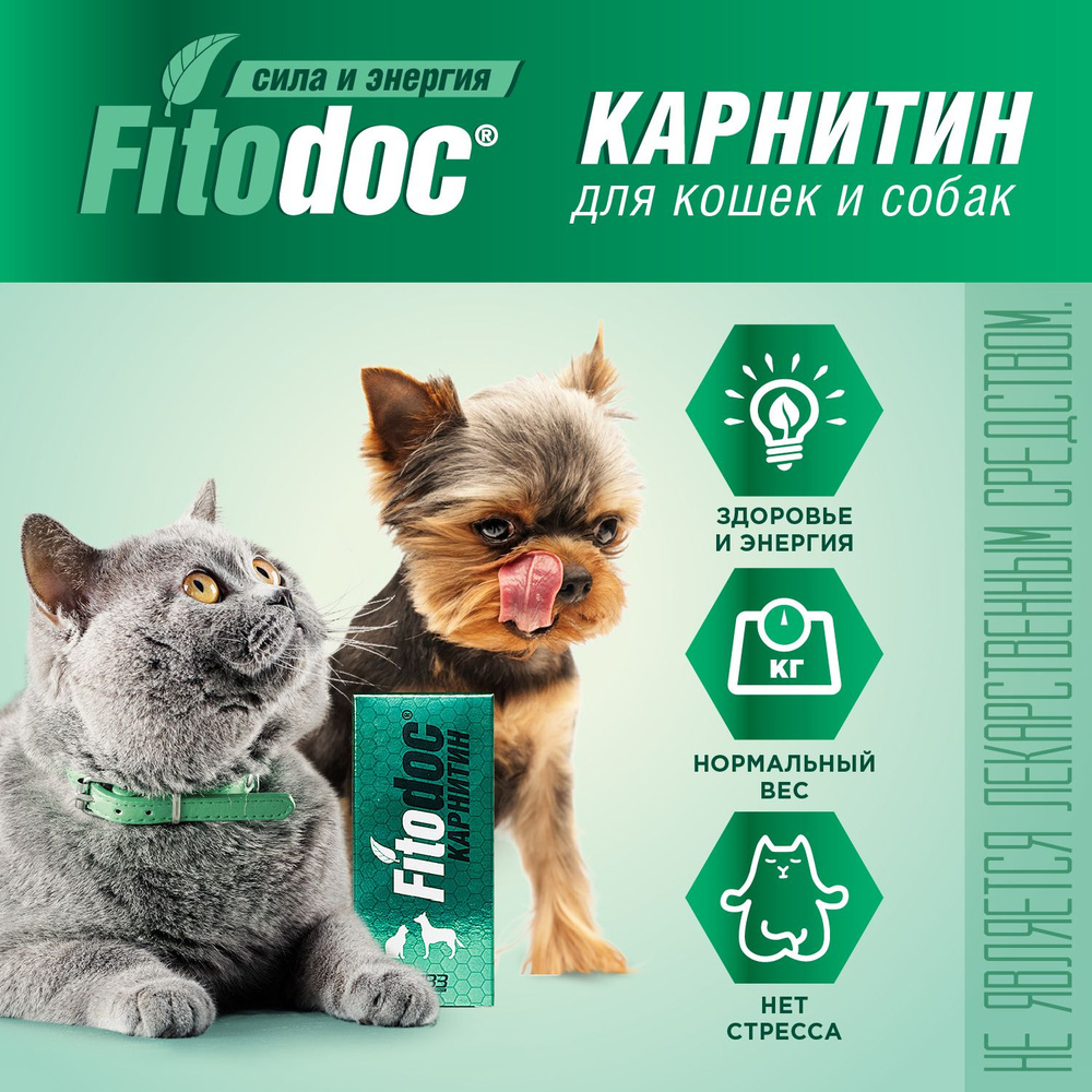 Кормовая витаминная добавка Агроветзащита Fitodoc Карнитин для собак и кошек, 50мл  #1