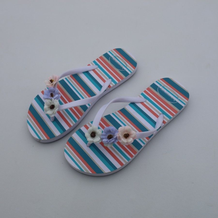 Сланцы Havaianas #1