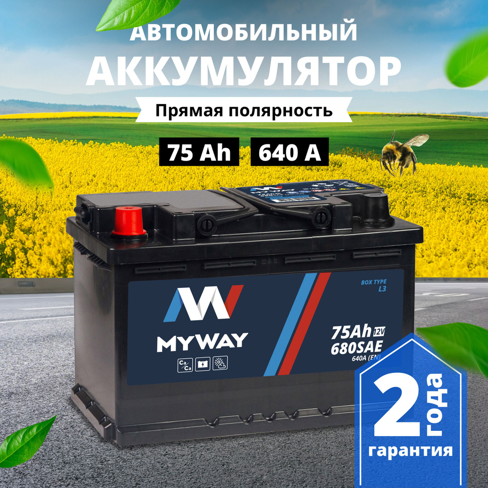 Аккумулятор автомобильный 12v 75 Аh MYWAY 75 Ач 640 А прямая полярность  278x175x190 стартерный акб для автомобиля, машины