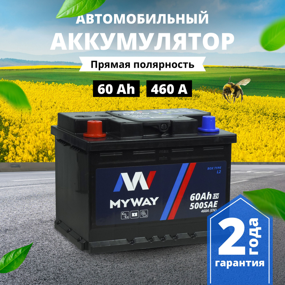 Аккумулятор автомобильный MYWAY Майвэй купить по выгодной цене в  интернет-магазине OZON (1508691014)