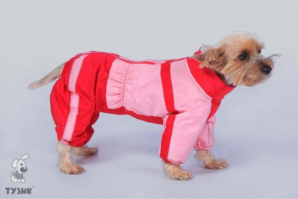 ТУЗИК комбинезон теплый для породы йоркширский терьер № 2 сука - купить ...