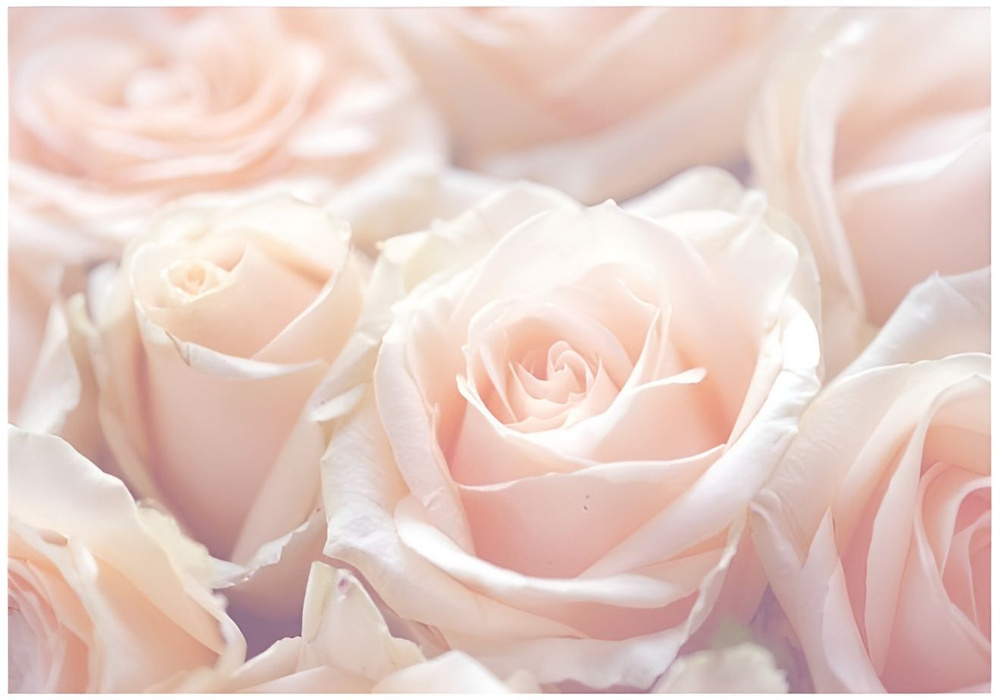 Фотообои бумажные BELLISSIMO "Нежные розы" 140*200 см (4 листа) #1