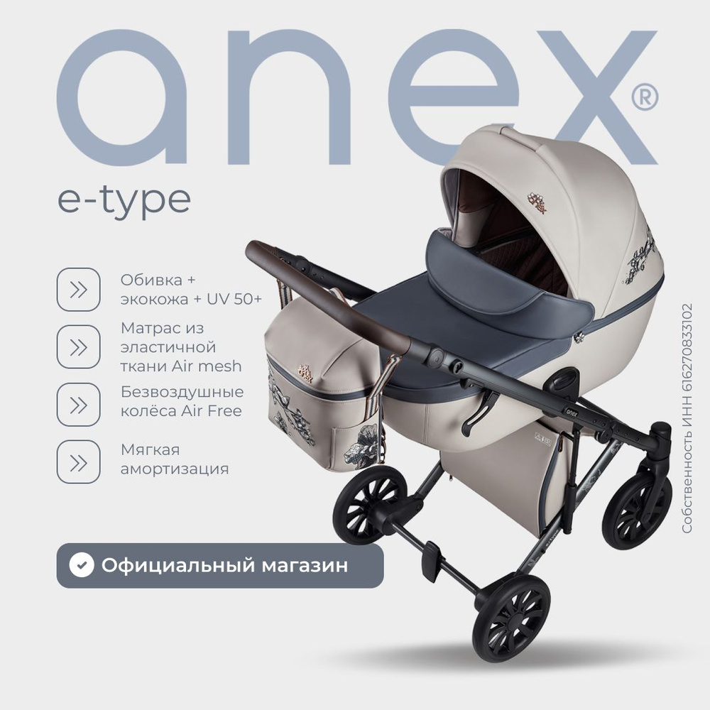 Детская коляска Anex e/type 2в1 SE Eden - купить с доставкой по выгодным  ценам в интернет-магазине OZON (472602526)