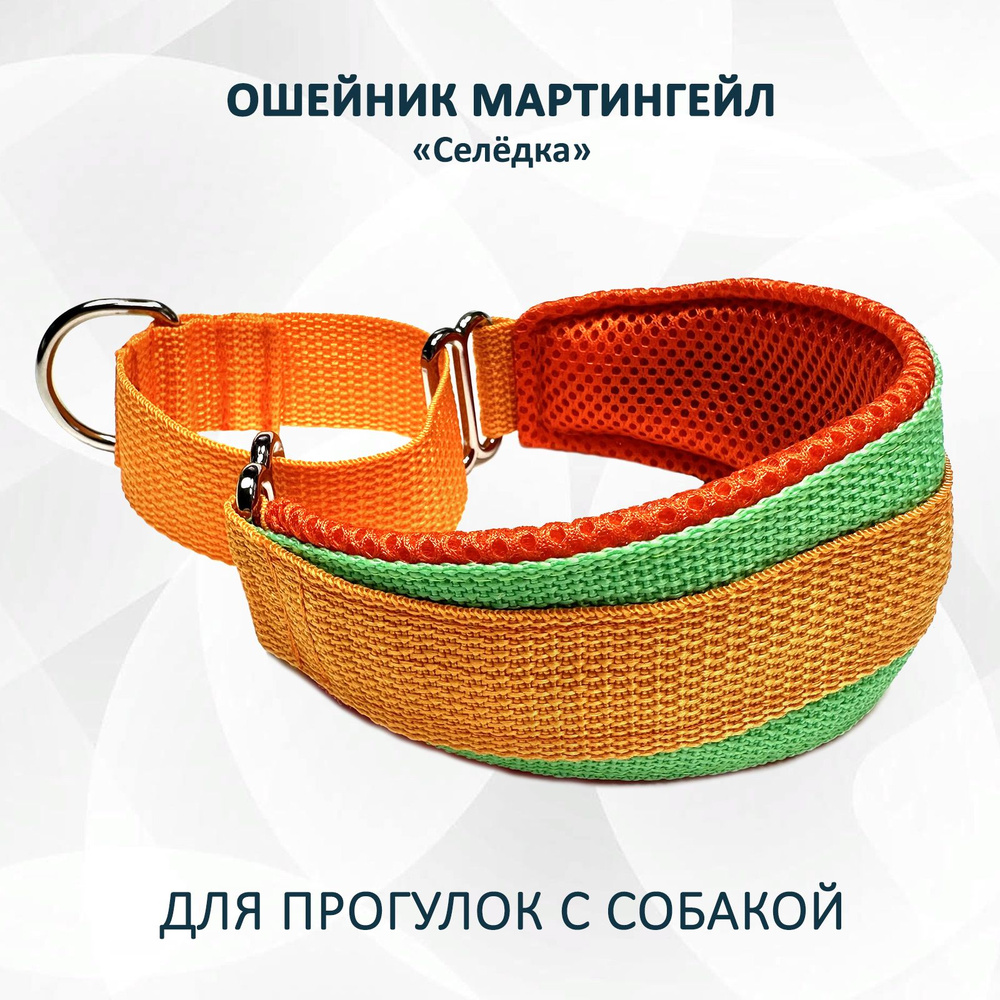 Ошейник для собак типа "Селёдка" мартингейл. Одуванчик. S - купить с ...