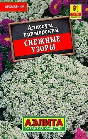 Семена Алиссум Снежные узоры (0,05 г) - Агрофирма Аэлита #1