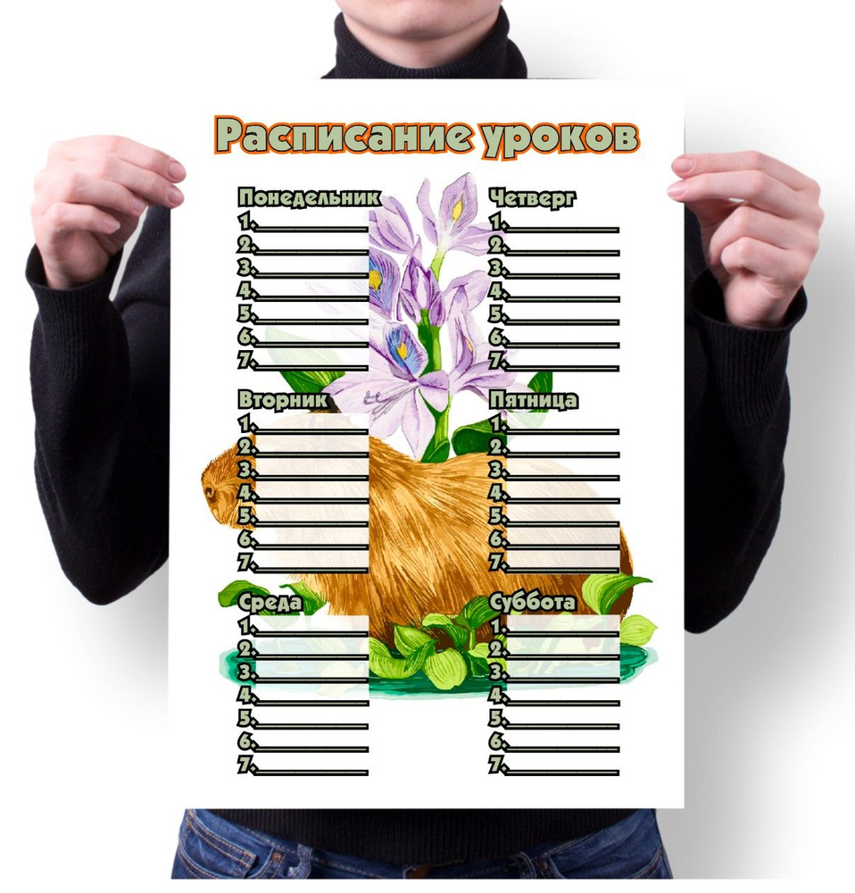 Расписание уроков MIGOM А4 "Capybara v2, Капибара" - v0015 - купить с ...