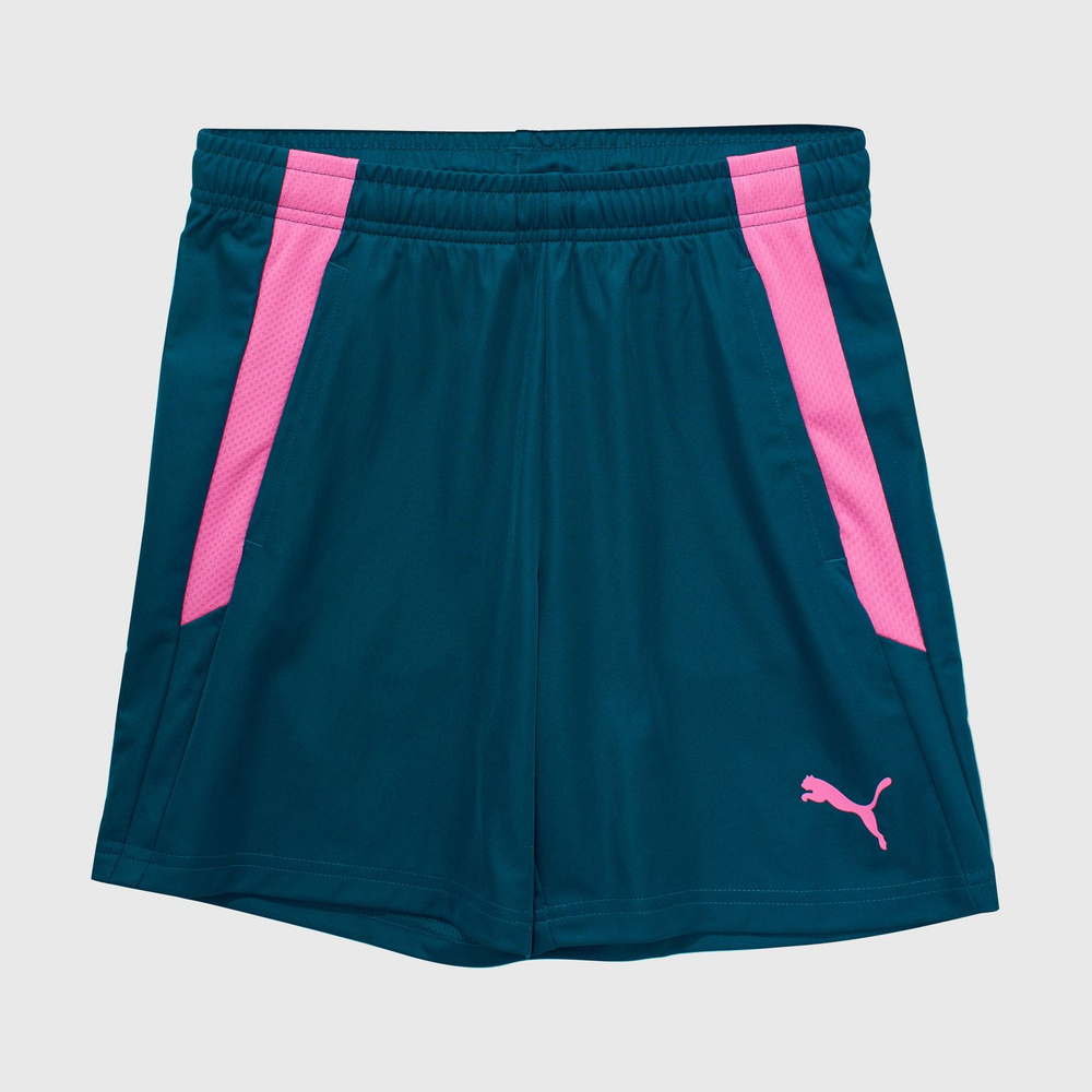 Шорты спортивные PUMA teamLIGA #1