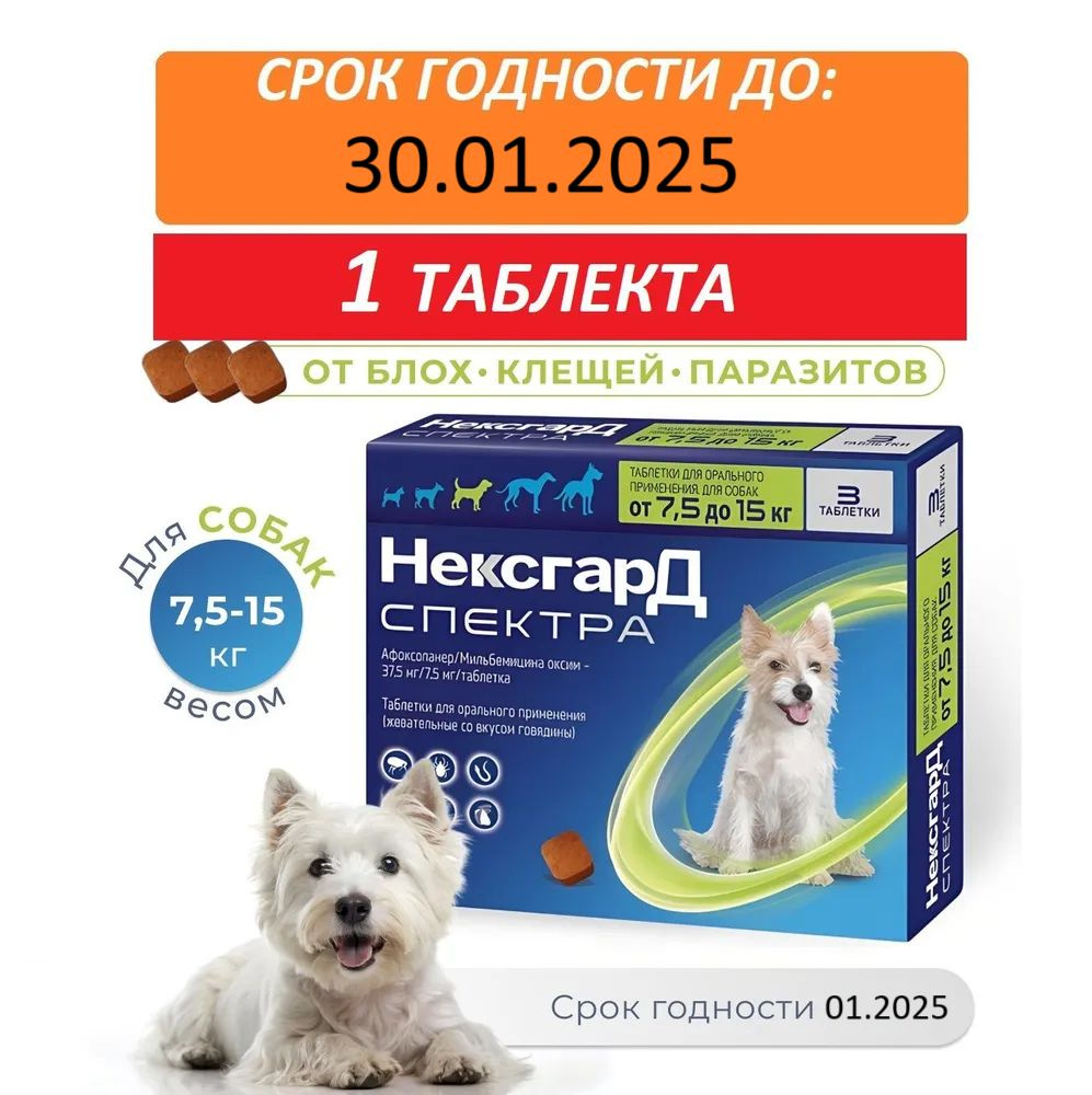 Buy nexgard best sale