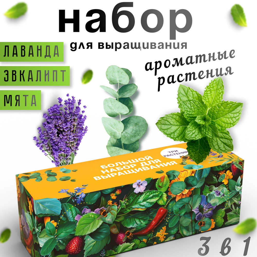 Набор для выращивания Plant Republic, Эвкалипт, Мята, Многолетник купить по  выгодной цене в интернет-магазине OZON (1580406518)