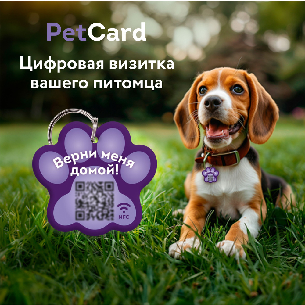 Адресник для собак и кошек с QR кодом и NFC/ цифровая визитка PetCard ...