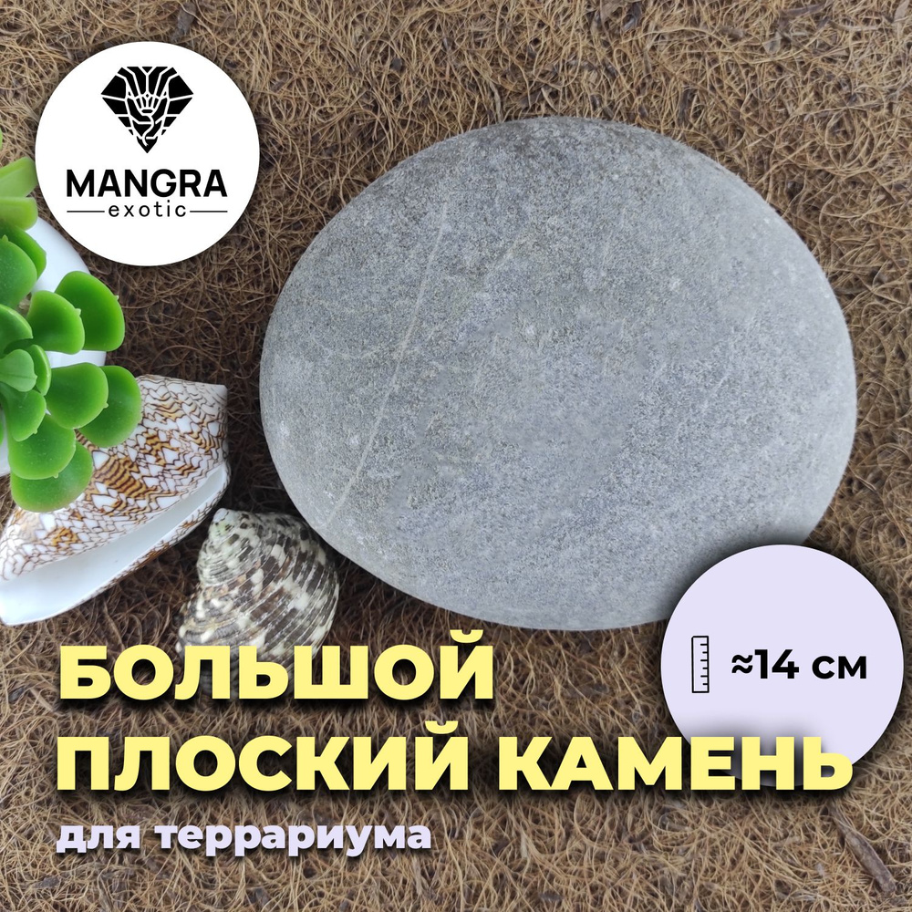 Большой плоский камень для террариума MANGRA exotic (ок. 14 см) - декор для террариума + место для отдыха #1