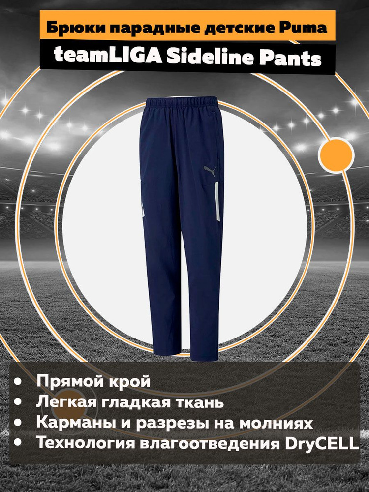 Брюки спортивные PUMA teamLIGA #1