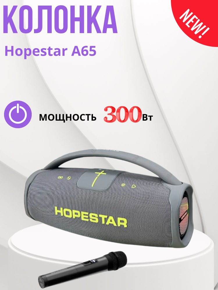 Колонка Hopestar A65 #1