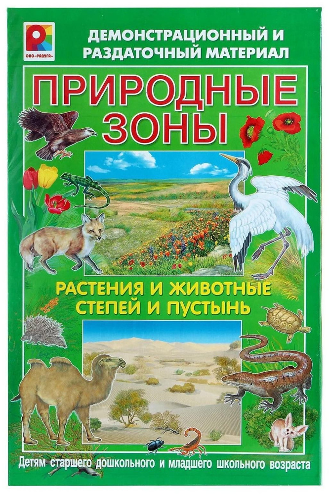 Демонстрационный материал Радуга "Растения и животные степей и пустынь", 2 плаката, 11 карточек (С-725) #1