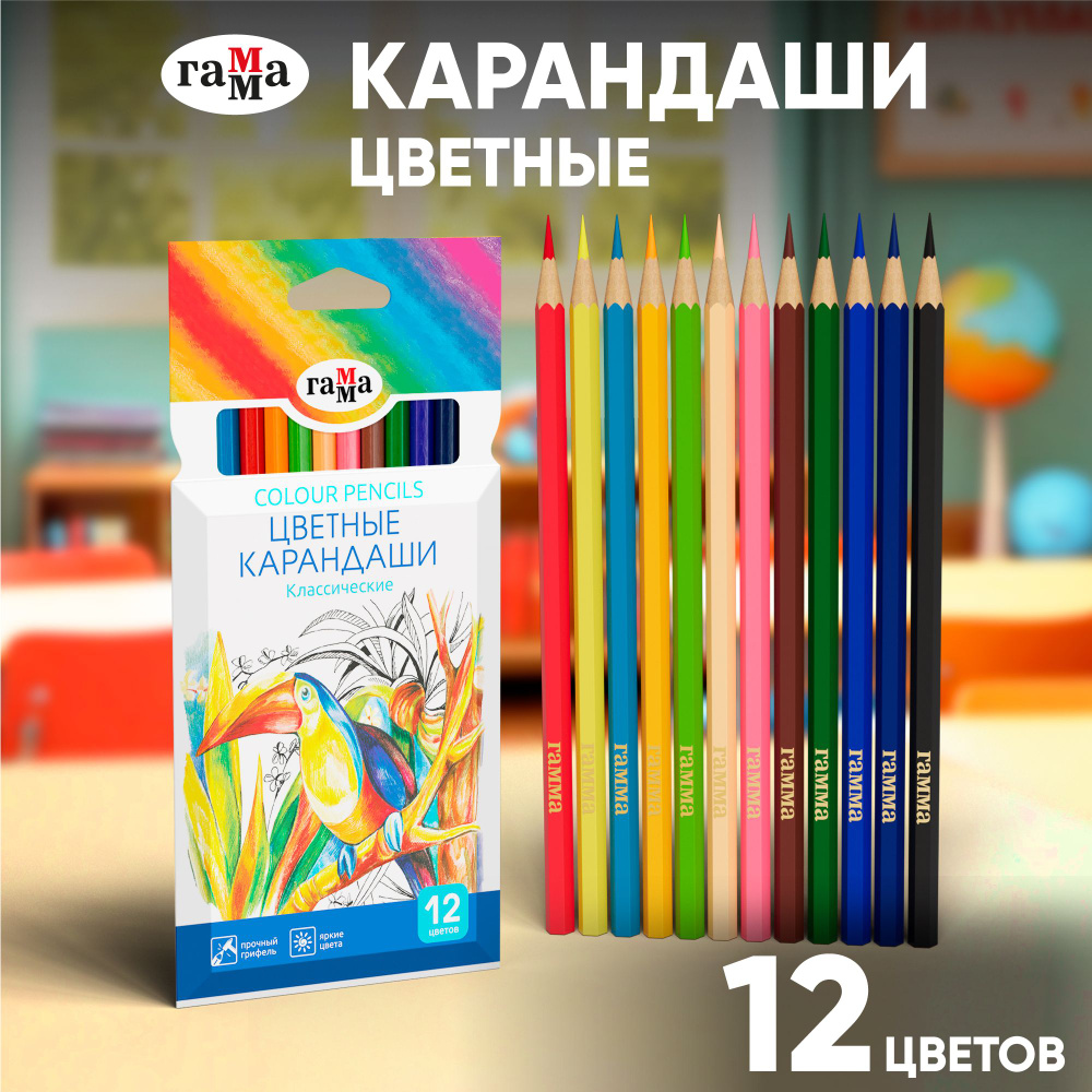 Карандаши цветные ГАММА, 12 цветов художественные, для рисования творчества и скетчинга, мягкие яркие, #1