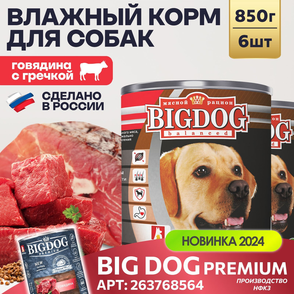 Корм влажный для собак консервированный Зоогурман ПРЕМИУМ Big Dog Говядина с гречкой, 850 г х 6 шт  #1