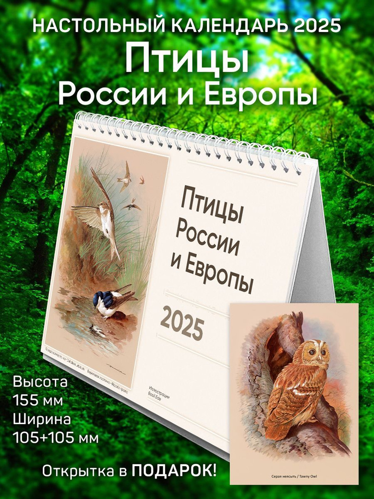 Календарь на 2025 год, настольный домик, перекидной "Птицы России и Европы"  #1