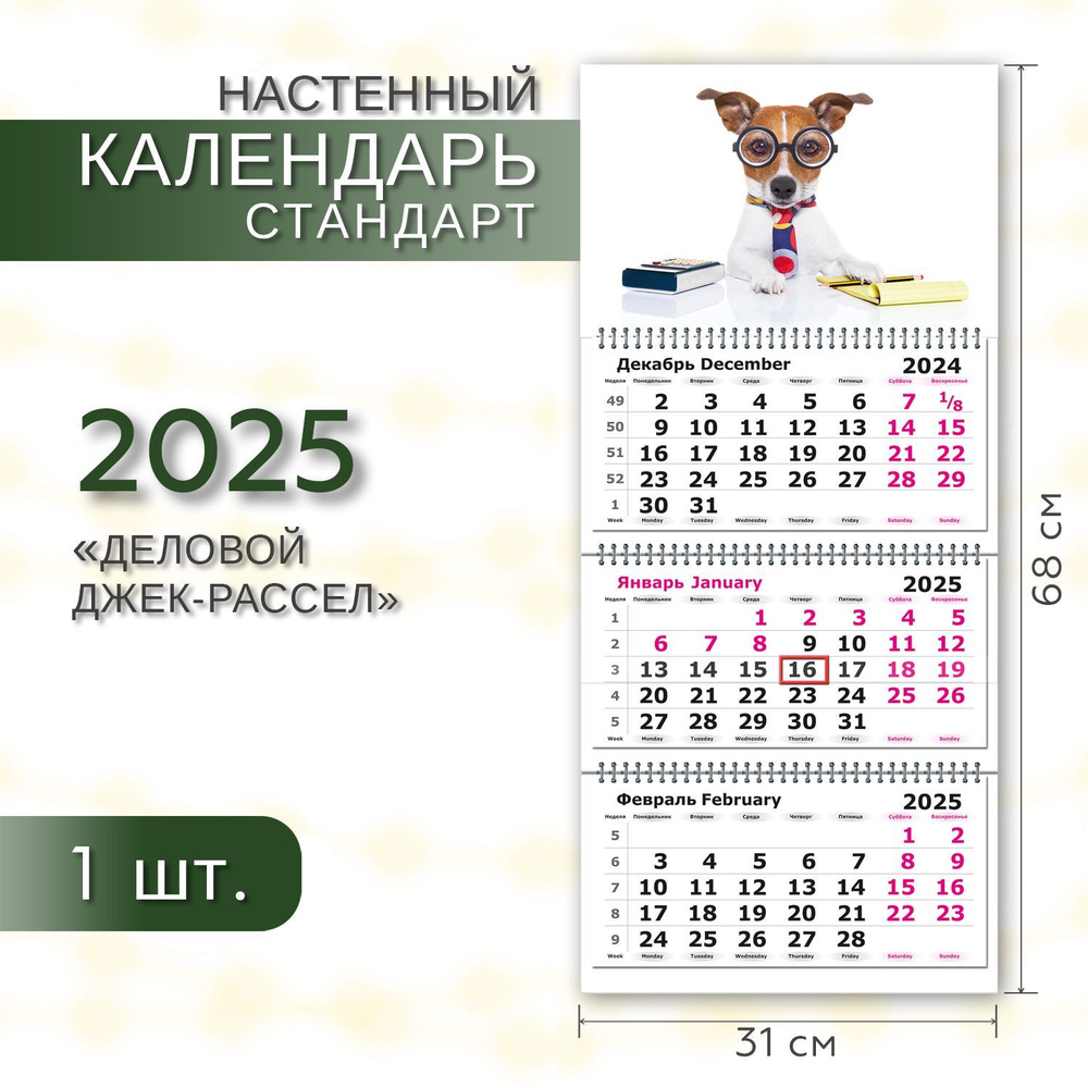 Календарь 2025 настенный трехблочный квартальный СТАНДАРТ ПОЛИНОМ "Деловой Джек-рассел, " 31х68см, 1шт/уп #1